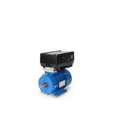 Frequency-Inverter-Motors